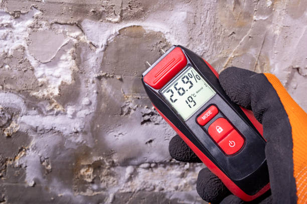 Trusted Camanche Village, CA Mold Removal Experts